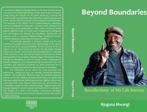 An Interpretive Review of Beyond Boundaries by Njuguna Mwangi
